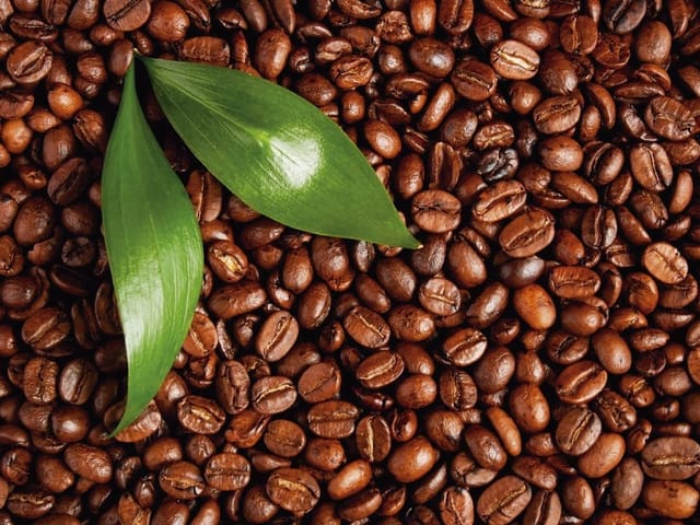Fototapeta z ziarnami kawy i zielonymi liśćmi na brązowym tle
