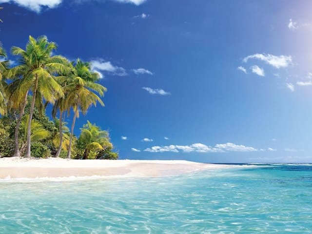 Fototapeta przedstawiająca plażę z palmami, błękitne niebo i ocean