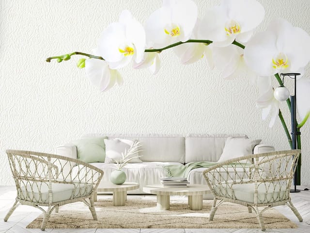 Fototapeta przedstawiająca białe kwiaty orchidei na zielonej łodydze z jasnym tłem