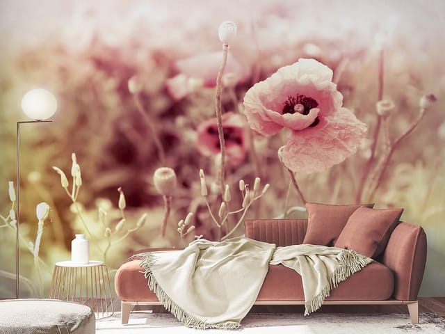 Fototapeta z dużym makiem i pastelowym tłem łąki