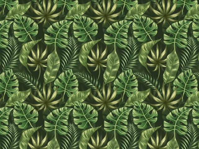 Fototapeta Tropikalne liście na ciemnym tle (mpn: 6153) Fototapeta z dużymi liśćmi monstery i palmowymi na ciemnym tle