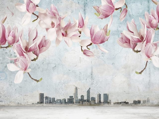 Fototapeta Magnolie na gałęziach z panoramą miasta (mpn: 6258) Fototapeta z kwiatami magnolii na gałęziach i panoramą miasta