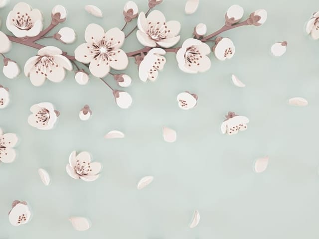 Fototapeta Gałąź Sakura na Jasnym Tle (mpn: 6280) Fototapeta z gałęzią sakury i delikatnymi płatkami na jasnym tle