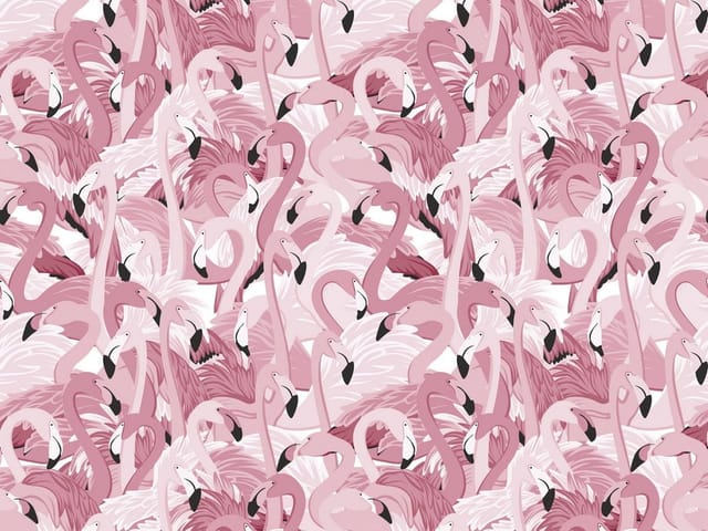 Fototapeta Różowe Flamingi w Harmonii (mpn: 6468) Fototapeta z grupą różowych flamingów z zakrzywionymi szyjami