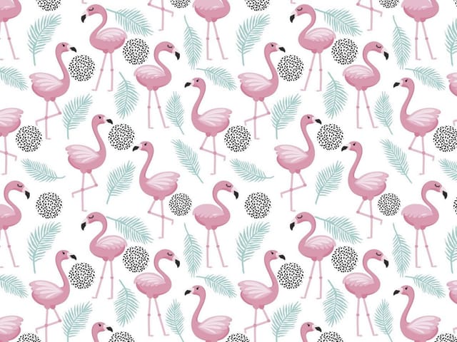 Fototapeta Różowe flamingi i liście palmowe (mpn: 6478) Fototapeta z różowymi flamingami na białym tle z palmami