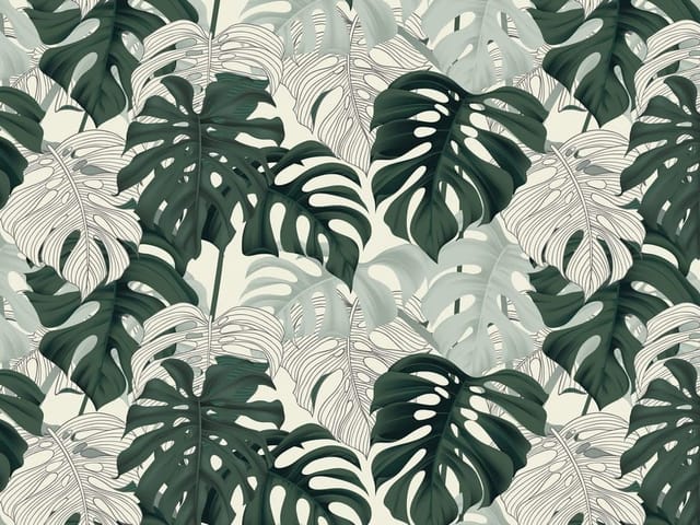 Fototapeta Monstera na jasnym tle (mpn: 6564) Fototapeta z dużymi liśćmi monstery na jasnym tle, różne odcienie zieleni