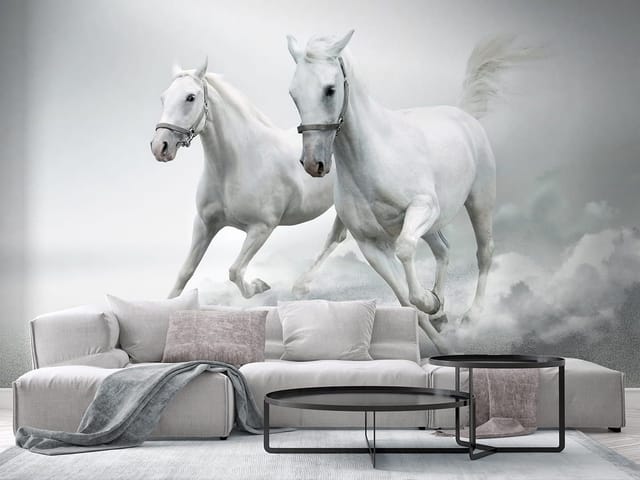 Fototapeta Galopujące białe konie (kod: 6567) Fototapeta Galopujące białe konie