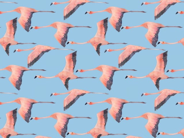 Fototapeta Lecące flamingi na niebieskim tle (mpn: 6628) Fototapeta z flamingami w locie na niebieskim tle, powtarzający się wzór