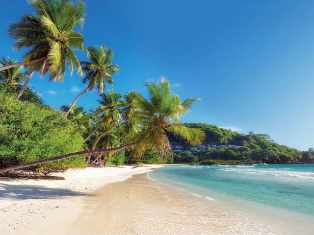 Fototapeta przedstawiająca tropikalną plażę z palmami, błękitne niebo i białe fale oceanu