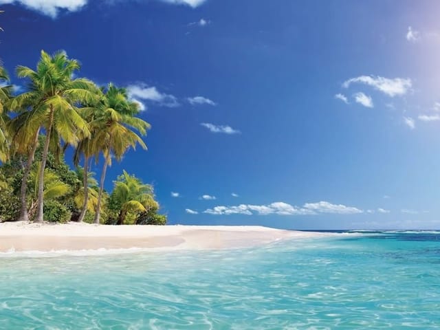 Fototapeta przedstawiająca plażę z palmami, oceanem i błękitnym niebem.
