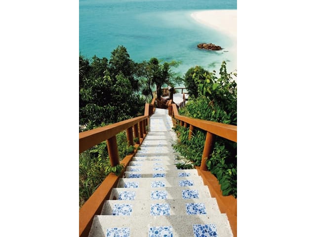 Fototapeta z drewnianymi schodami na plażę, zielone rośliny i morze