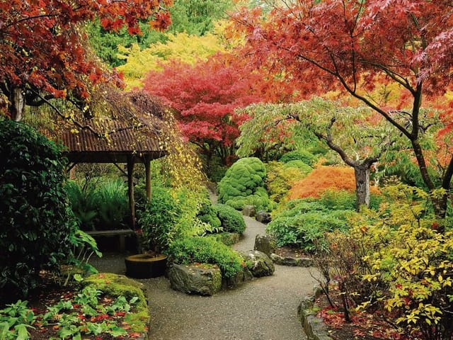 Fototapeta z kamienną ścieżką wśród kolorowych drzew i altaną