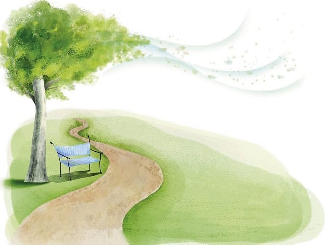 Fototapeta Drzewo z ławką w parku (kod: 6971) Fototapeta Drzewo z ławką w parku