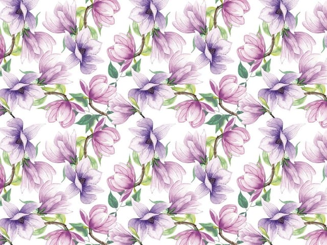 Fototapeta z kwiatami magnolii w odcieniach fioletu i różu na białym tle