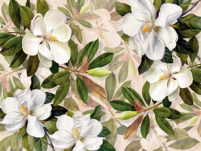 Fototapeta z białymi kwiatami magnolii i zielonymi liśćmi na jasnym tle