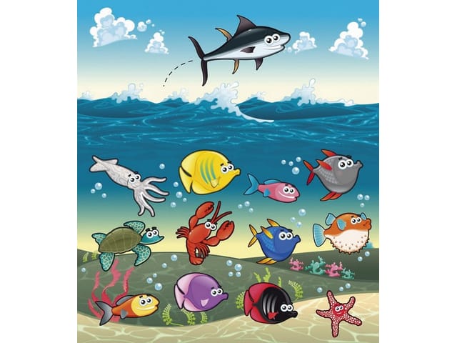 Fototapeta Kolorowe ryby i zwierzęta morskie