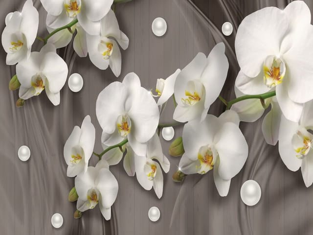 Fototapeta Białe orchidee na drewnianym tle (mpn: 7308) Fototapeta z białymi orchideami na tle drewnianej powierzchni i perłowych kul