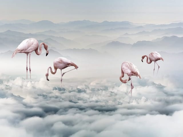 Fototapeta Flamingi na pastelowych chmurach (mpn: 7377) Fototapeta z flamingami na chmurach z górami w tle, pastelowe kolory