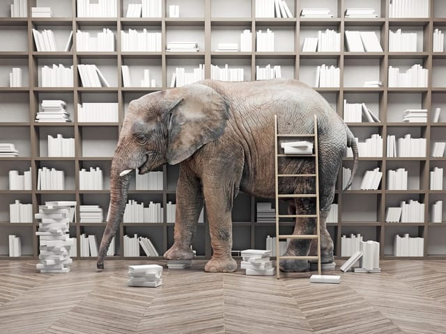 Fototapeta Słoń w bibliotece z książkami (mpn: 7483) Fototapeta przedstawiająca słonia w bibliotece pełnej książek z drabiną