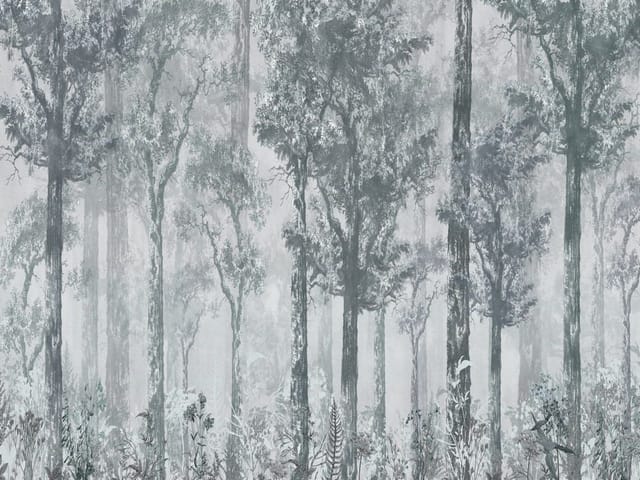 Fototapeta Gęsty las z wysokimi drzewami (mpn: 7521) Fototapeta z gęstym lasem, wysokimi drzewami i mgłą w tle