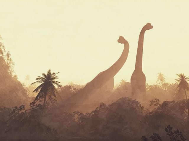 Fototapeta z dwoma dinozaurami w lesie, otoczonymi roślinnością i palmami