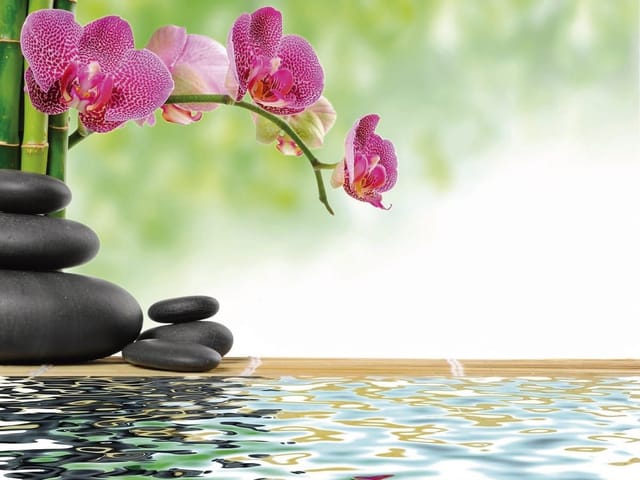 Fototapeta Storczyki nad wodą z bambusem (kod: 7543) Fototapeta z różowymi storczykami, kamieniami i bambusem nad wodą