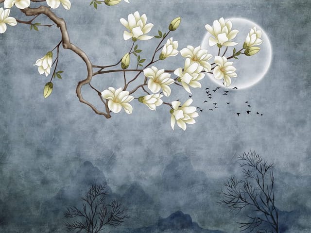 Fototapeta Magnolie na tle pełni księżyca (mpn: 7570) Fototapeta z gałęzią magnolii na tle księżyca i drzew