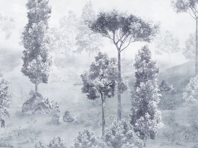 Fototapeta Drzewa na polanie w mgle (mpn: 7585) Fototapeta z grupą drzew na polanie, otoczoną mglistą atmosferą i wzgórzami