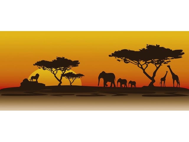 Fototapeta Zachód słońca na sawannie (kod: 7934) Fototapeta z sylwetkami zwierząt na sawannie o zachodzie słońca