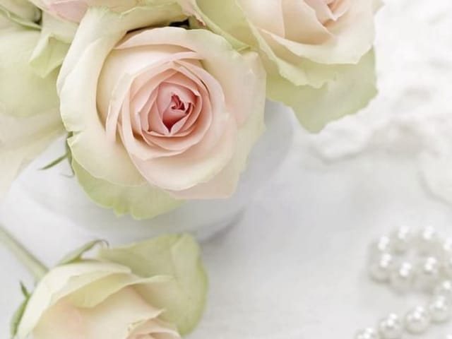 Fototapeta z bukietem różowych róż w wazonie na białym tle z perłowym naszyjnikiem