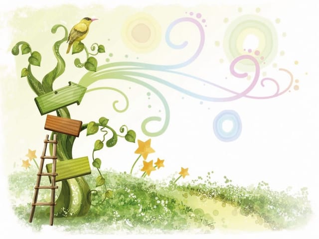 Fototapeta Ozdobna roślina z tabliczkami