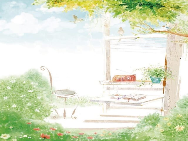 Fototapeta Ławka z książką i radiem wśród zieleni