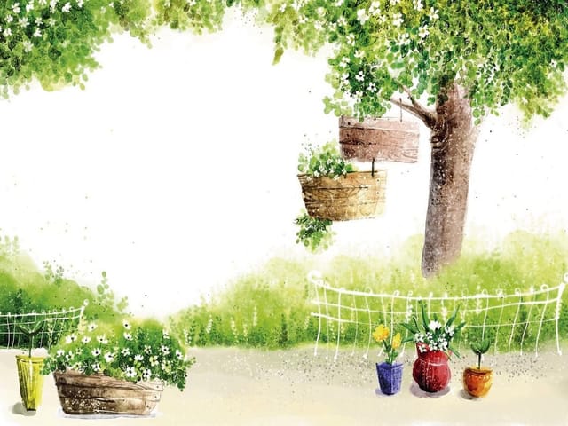 Fototapeta Drzewo z Wiszącymi Doniczkami