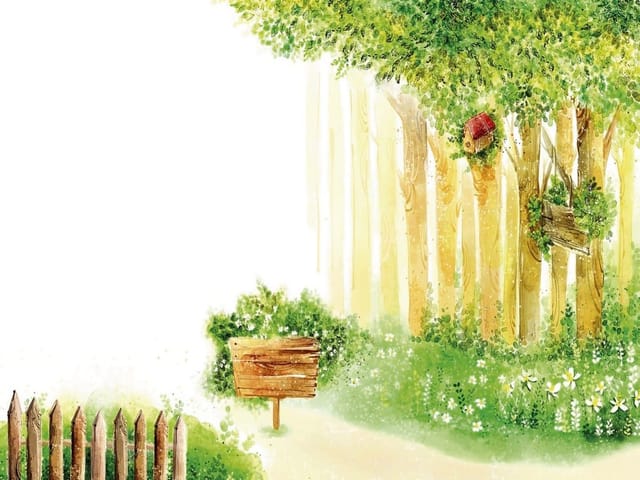 Fototapeta Leśna scena z drewnianym płotem