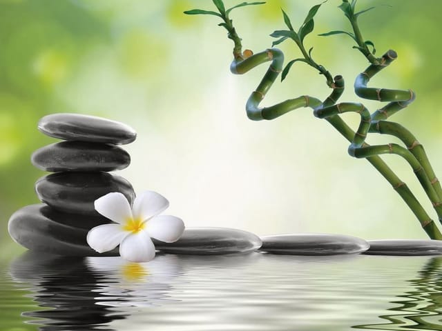 Fototapeta z kamieniami, białym kwiatem i bambusem nad wodą