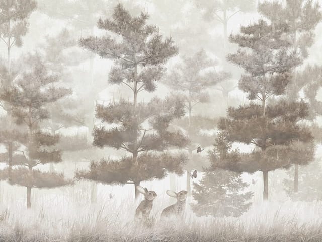 Fototapeta Las z zającem i mgłą (mpn: 8201) Fototapeta przedstawiająca las z wysokimi drzewami iglastymi, zającami i mgłą