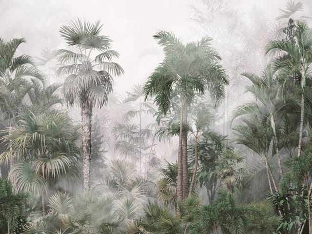 Fototapeta Tropikalny Las z Palmami (mpn: 8236) Fototapeta z gęstym lasem tropikalnym i wysokimi palmami