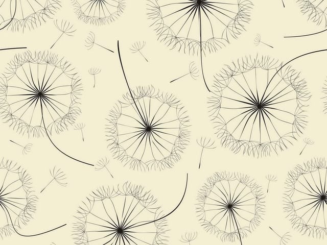 Fototapeta z dużymi dmuchawcami na jasnym tle, delikatne linie nasion