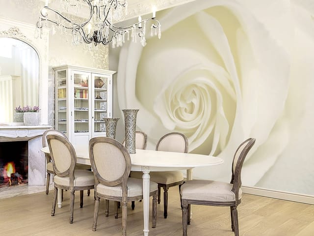 Fototapeta Zbliżenie na Białą Różę (kod: 891) Fototapeta zbliżenie na białą różę z spiralnymi płatkami i delikatnymi tonami