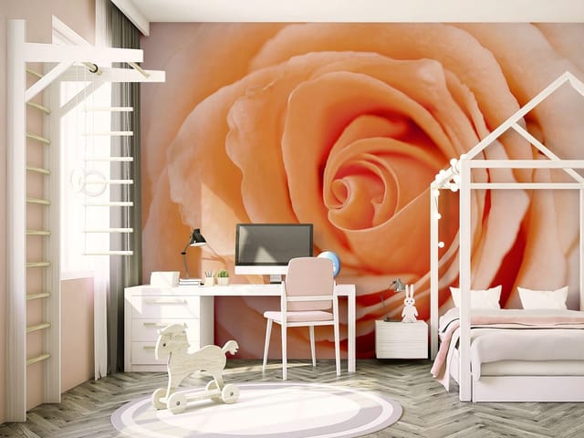 Fototapeta Zbliżenie delikatnej róży (kod: 892) Fototapeta zbliżenie kwiatu róży z delikatnymi płatkami i spiralnym układem