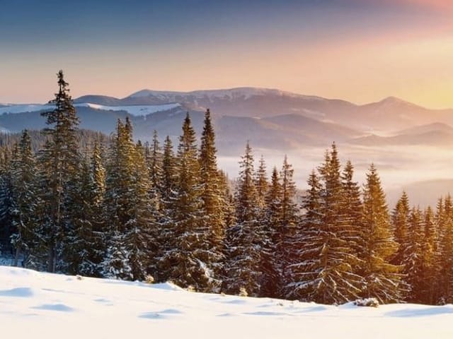 Fototapeta przedstawiająca śnieżny las iglasty z górami na horyzoncie