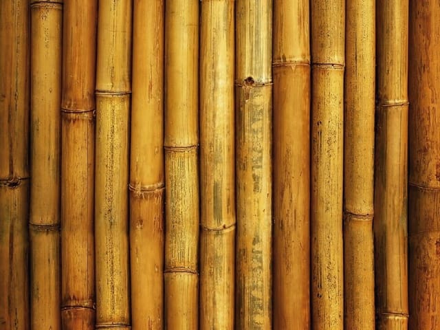 Fototapeta z pionowymi pniami bambusa w różnych odcieniach brązu