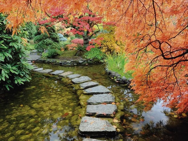 Fototapeta z kamienną ścieżką przez staw, otoczoną jesiennymi drzewami i krzewami