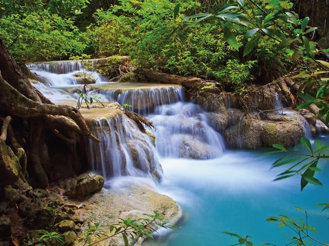 Fototapeta z wodospadem w lesie tropikalnym, otoczonym gęstą roślinnością