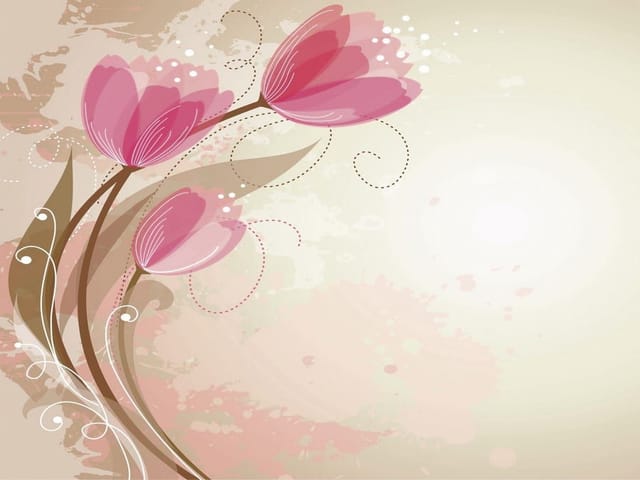 Fototapeta Różowe tulipany na jasnym tle (kod: 9337) Fototapeta z trzema różowymi kwiatami na łodygach i jasnym tle