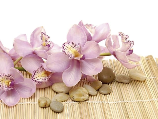 Fototapeta Fioletowe orchidee na macie (kod: 9442) Fototapeta z fioletowymi orchideami na bambusowej macie i kamieniach