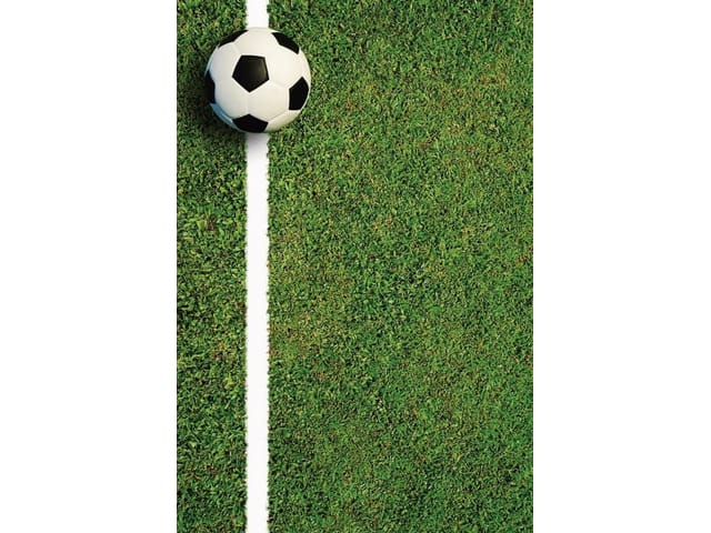 Fototapeta z piłką nożną na zielonej murawie z białą linią boiska