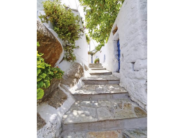 Fototapeta Kamienne schody w wąskiej uliczce (kod: 9812) Fototapeta Kamienne schody w wąskiej uliczce