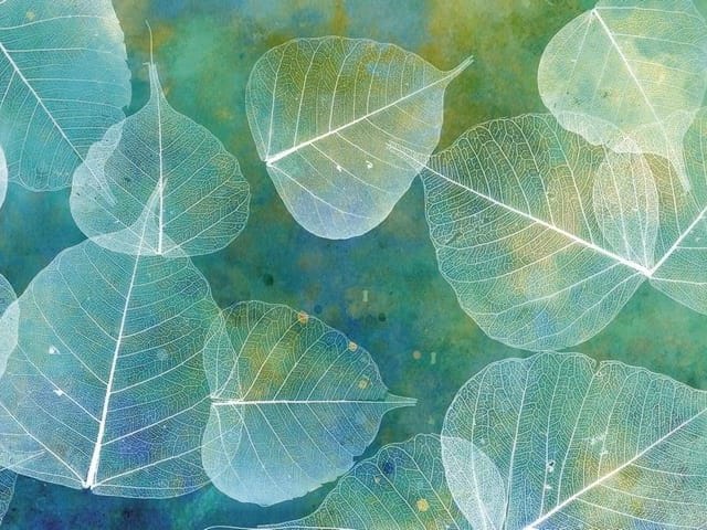 Fototapeta z przezroczystymi liśćmi na zielono-niebieskim tle