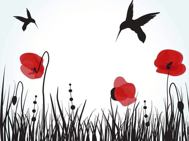 Fototapeta Kolibry i Maki na Jasnym Tle (mpn: 997) Fototapeta z czarnymi sylwetkami kolibrów i czerwonymi makami